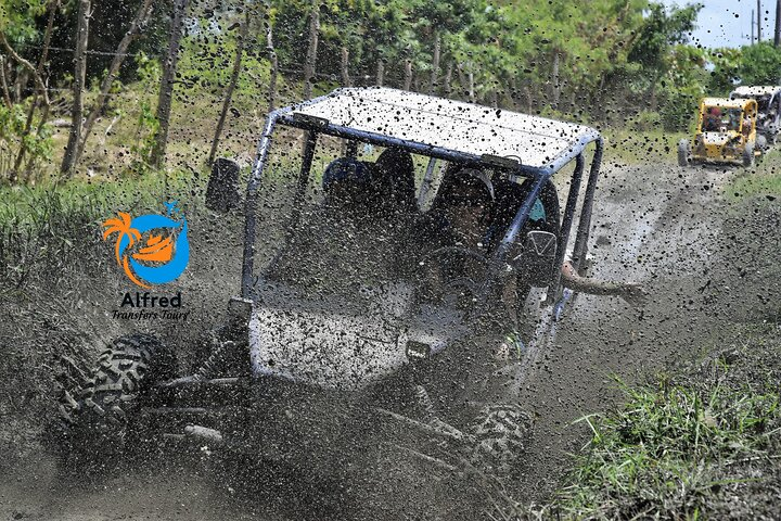 Buggy Excursion in Puerto Plata - Photo 1 of 25